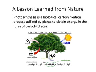 A Lesson Learned from Nature
Photosynthesis is a biological carbon fixation
process utilized by plants to obtain energy in the
form of carbohydrates
 