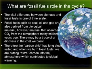 How much carbon is in your paper bag?Weigh the bag of dehydrated biomass.Subtract the weight of the bag.Divide by 2.This number represents the amount of carbon in your bag.Roughly 50% of biomass is carbon!