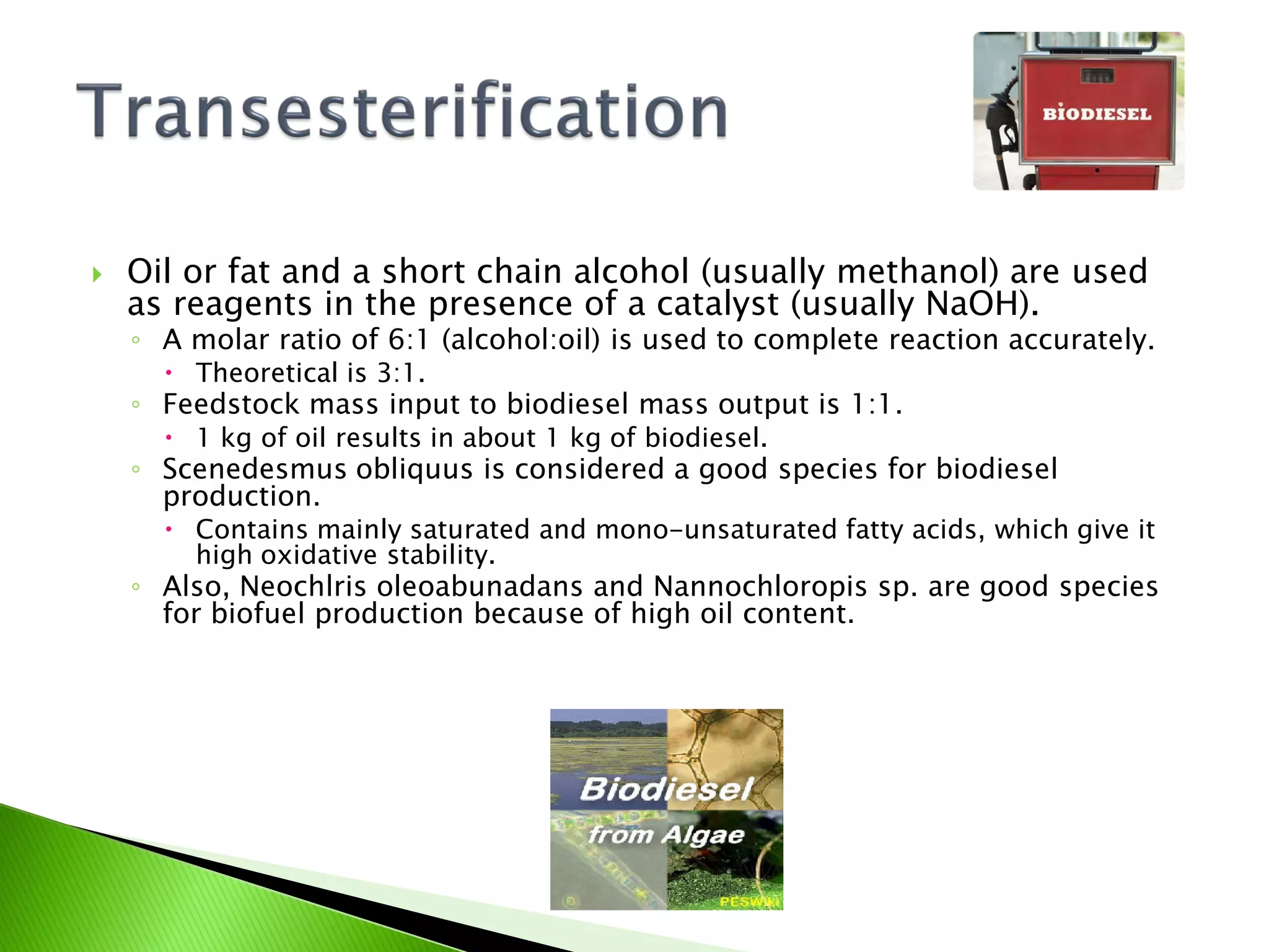    Oil or fat and a short chain alcohol (usually methanol) are used
    as reagents in the presence of a catalyst (usually NaOH).
    ◦ A molar ratio of 6:1 (alcohol:oil) is used to complete reaction accurately.
       Theoretical is 3:1.
    ◦ Feedstock mass input to biodiesel mass output is 1:1.
       1 kg of oil results in about 1 kg of biodiesel.
    ◦ Scenedesmus obliquus is considered a good species for biodiesel
      production.
       Contains mainly saturated and mono-unsaturated fatty acids, which give it
        high oxidative stability.
    ◦ Also, Neochlris oleoabunadans and Nannochloropis sp. are good species
      for biofuel production because of high oil content.
 