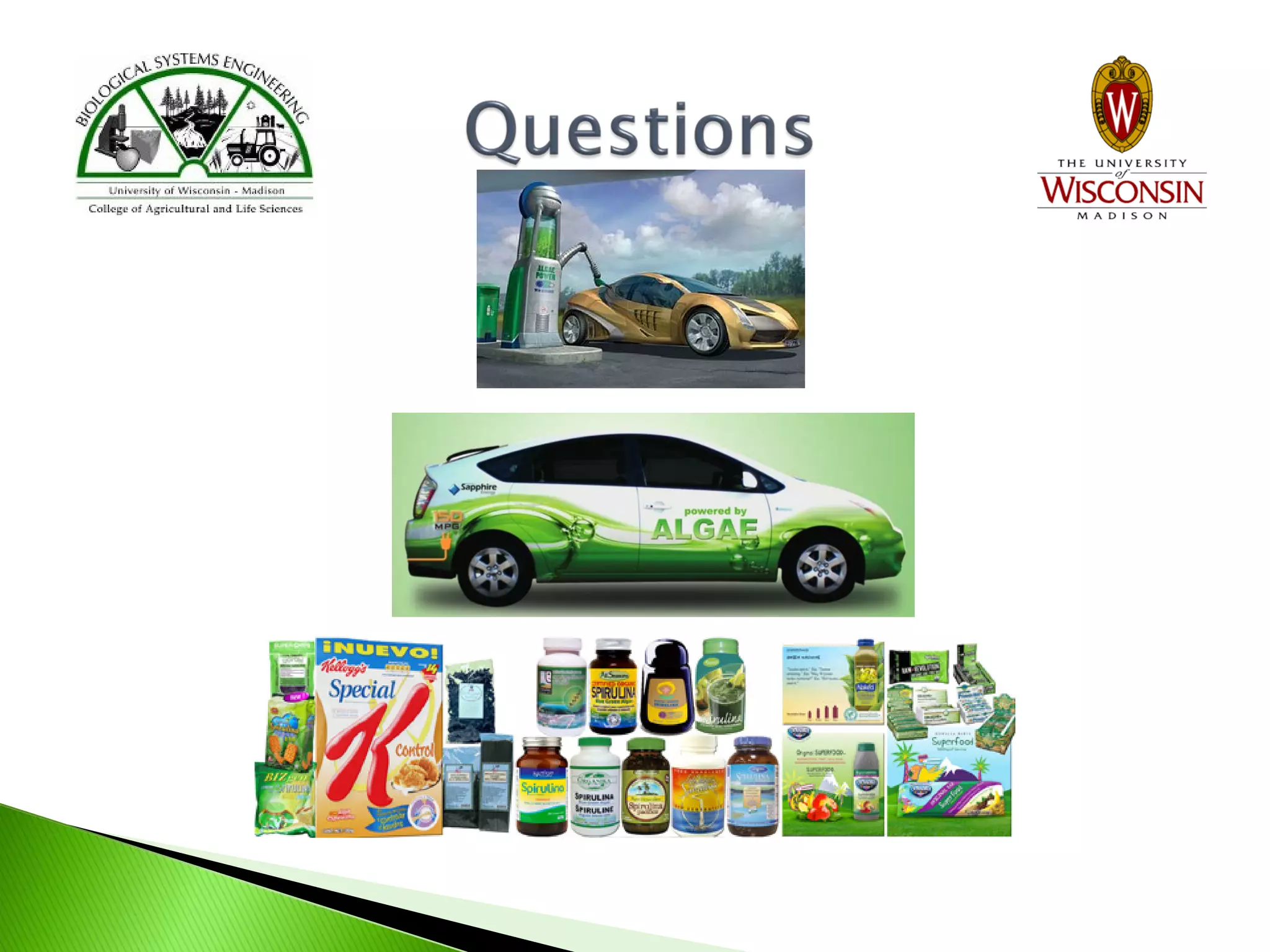 Biofuels and By-Products from Algae