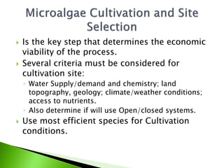    Is the key step that determines the economic
    viability of the process.
   Several criteria must be considered for
    cultivation site:
    ◦ Water Supply/demand and chemistry; land
      topography, geology; climate/weather conditions;
      access to nutrients.
    ◦ Also determine if will use Open/closed systems.
   Use most efficient species for Cultivation
    conditions.
 