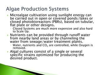    Microalgae cultivation using sunlight energy can
    be carried out in open or covered ponds/lakes or
    closed photobioreactors (PBRs), based on tubular,
    flat plate or other designs.
    ◦ Closed Systems are much more expensive and also hard
      to Scale Up.
   Nutrients can be provided through runoff water
    from nearby land areas or by channeling the
    water from sewage/water treatment plants.
    ◦ Water, nutrients and CO2 are controlled, while Oxygen is
      removed.
   Algal cultures consist of a single or several
    specific strains optimized for producing the
    desired product.
 
