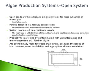    Open ponds are the oldest and simplest systems for mass cultivation of
    microalgae.
    ◦   Are shallow ponds.
   Pond is designed in a raceway configuration.
    ◦   Paddlewheel circulates and mixes the algal cells and nutrients.
   System is operated in a continuous mode.
    ◦   The fresh feed is added in front of the paddlewheel, and algal broth is harvested behind the
        paddlewheel through the loop.
   Productivity is affected by contamination with unwanted algae and
    micro-organisms that feed on algae.
   Are economically more favorable than others, but raise the issues of
    land use cost, water availability, and appropriate climatic conditions.
 