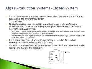    Closed Pond systems are the same as Open Pond systems except that they
    can control the environment better
    ◦   Creates a GHG.
   Photobioreactors have the ability to produce algae while performing
    beneficial tasks, such as scrubbing power plant flue gasses or removing
    nutrients from wastewater.
    ◦   Also offer a closed culture environment which is protected from direct fallout, relatively safe from
        invading micro-organisms compared to an open system.
    ◦   Photobioreactors have higher efficiency and biomass concentration (2-5 g/L), shorter harvest time
        (2-4 weeks) than open pounds.
   Closed Systems consist of numerous designs: tubular, flat-plated,
    rectangular, continued stirred reactors, etc.
   Tubular Photobioreactor: Growth medium circulates from a reservoir to the
    reactor and back to the reservoir.
 