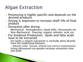    Processing is highly specific and depends on the
    desired products.
   Drying is important to increase shelf-life of final
    product
   Extraction after drying.
    ◦ Mechanical: homogenizers, bead mills, ultrasounds etc.
    ◦ Non-Mechanical: freezing, organic solvents, acid, etc.
   For biodiesel Production: lipids and fatty acids
    have to be extracted
    ◦ For lipids a solvent extraction is normally done directly
      from the lyophilized biomass.
      Solvents used: hexane, ethanol (can extract contaminants).
    ◦ Using Ultrasound can greatly increase extraction time
      and yield.
 