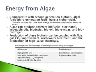    Compared to with second generation biofuels, algal
    fuels (third generation fuels) have a higher yield.
    ◦ They can produce 30-100x more energy per hectare compared to terrestrial
      crops.
   Algae can produce different biofuels: bioethanol,
    vegetable oils, biodesiel, bio-oil, bio-syngas, and bio-
    hydrogen.
   Production of these biofuels can be coupled with flue
    gas CO2 improvement, wastewater treatment, and the
    production of high-value chemicals.
 