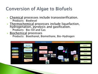    Chemical processes include transesterification.
    ◦ Products: Biodiesel
   Thermochemical processes include liquefaction,
    hydrogenation, pyrolysis and gasification.
    ◦ Products: Bio-Oil and Gas
   Biochemical processes
    ◦ Products: Bioethanol, Biomethane, Bio-Hydrogen
 