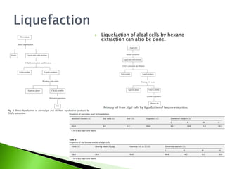    Liquefaction of algal cells by hexane
    extraction can also be done.
 