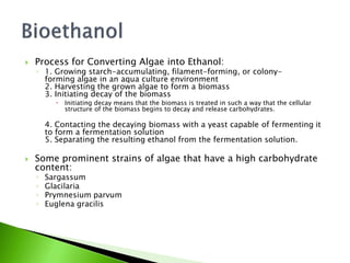    Process for Converting Algae into Ethanol:
    ◦ 1. Growing starch-accumulating, filament-forming, or colony-
      forming algae in an aqua culture environment
      2. Harvesting the grown algae to form a biomass
      3. Initiating decay of the biomass
             Initiating decay means that the biomass is treated in such a way that the cellular
              structure of the biomass begins to decay and release carbohydrates.

        4. Contacting the decaying biomass with a yeast capable of fermenting it
        to form a fermentation solution
        5. Separating the resulting ethanol from the fermentation solution.

   Some prominent strains of algae that have a high carbohydrate
    content:
    ◦   Sargassum
    ◦   Glacilaria
    ◦   Prymnesium parvum
    ◦   Euglena gracilis
 