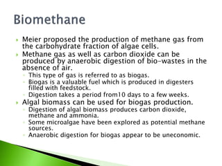   Meier proposed the production of methane gas from
    the carbohydrate fraction of algae cells.
   Methane gas as well as carbon dioxide can be
    produced by anaerobic digestion of bio-wastes in the
    absence of air.
    ◦ This type of gas is referred to as biogas.
    ◦ Biogas is a valuable fuel which is produced in digesters
      filled with feedstock.
    ◦ Digestion takes a period from10 days to a few weeks.
   Algal biomass can be used for biogas production.
    ◦ Digestion of algal biomass produces carbon dioxide,
      methane and ammonia.
    ◦ Some microalgae have been explored as potential methane
      sources.
    ◦ Anaerobic digestion for biogas appear to be uneconomic.
 