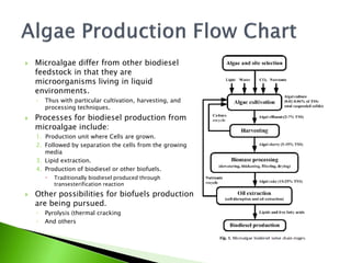    Microalgae differ from other biodiesel
    feedstock in that they are
    microorganisms living in liquid
    environments.
    ◦   Thus with particular cultivation, harvesting, and
        processing techniques.
   Processes for biodiesel production from
    microalgae include:
    1. Production unit where Cells are grown.
    2. Followed by separation the cells from the growing
       media
    3. Lipid extraction.
    4. Production of biodiesel or other biofuels.
           Traditionally biodiesel produced through
            transesterification reaction
   Other possibilities for biofuels production
    are being pursued.
    ◦   Pyrolysis (thermal cracking
    ◦   And others
 