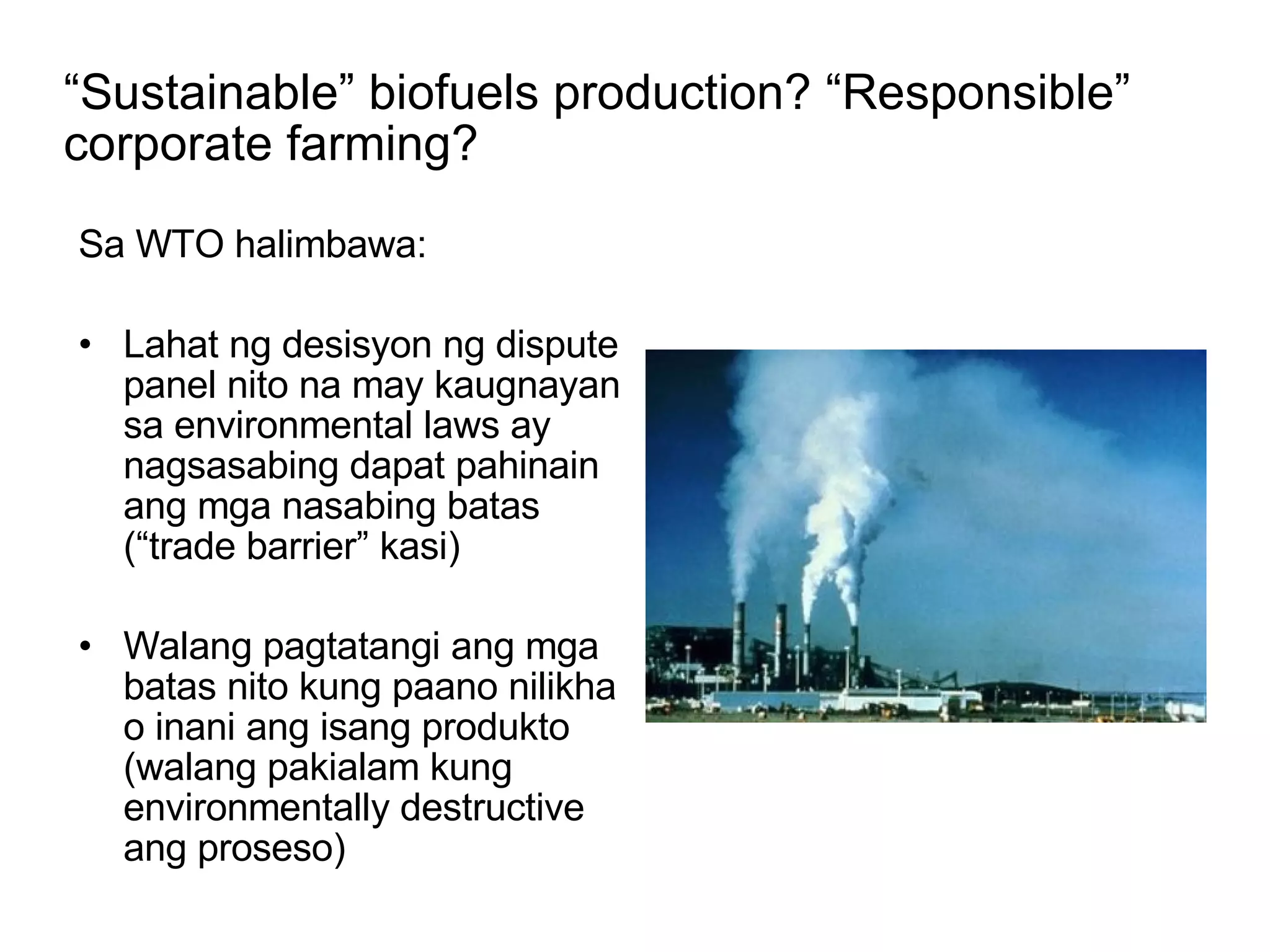 Epekto ng produksyon ng biofuels sa Pilipinas | PPT