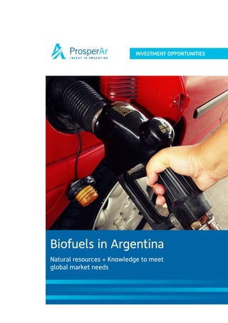 INVESTMENT OPPORTUNITIES




Biofuels in Argentina
Natural resources + Knowledge to meet
global market needs
 