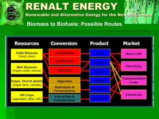 Biofuels Issues, Trends and Challenges | PDF