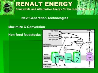 Biofuels Issues, Trends and Challenges | PDF
