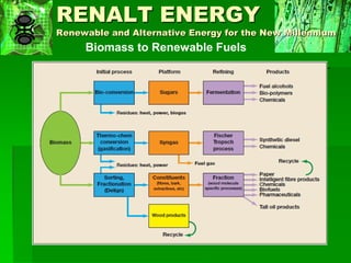 Biofuels Issues, Trends and Challenges | PDF