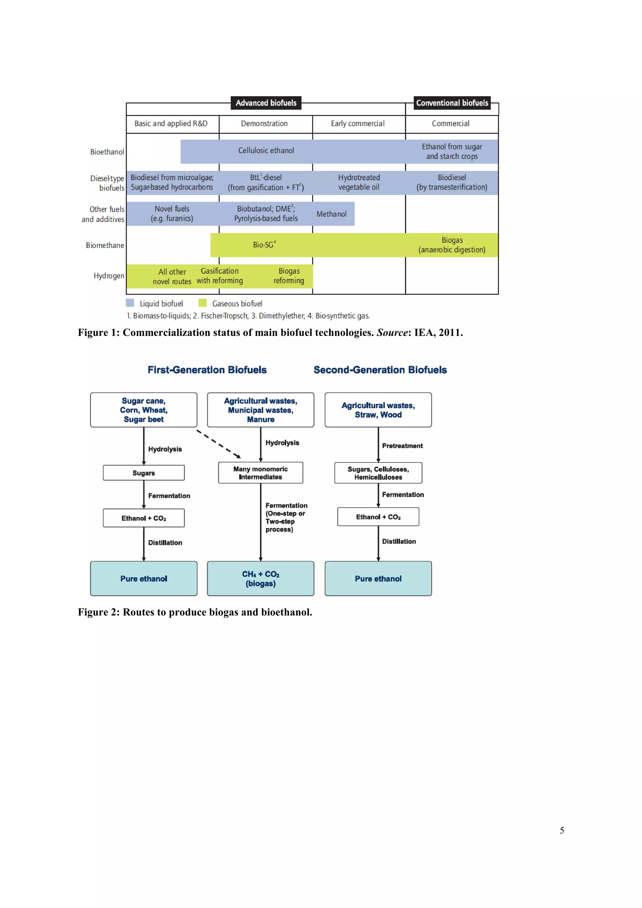5
Figure 1: Commercialization status of main biofuel technologies. Source: IEA, 2011.
Figure 2: Routes to produce biogas and bioethanol.
 