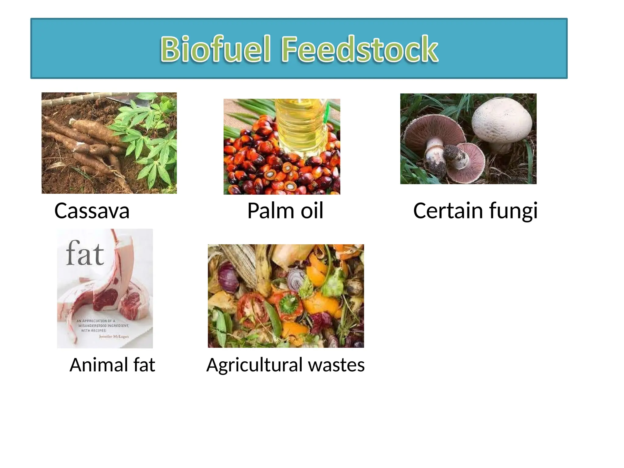 Cassava Palm oil Certain fungi
Animal fat Agricultural wastes
 