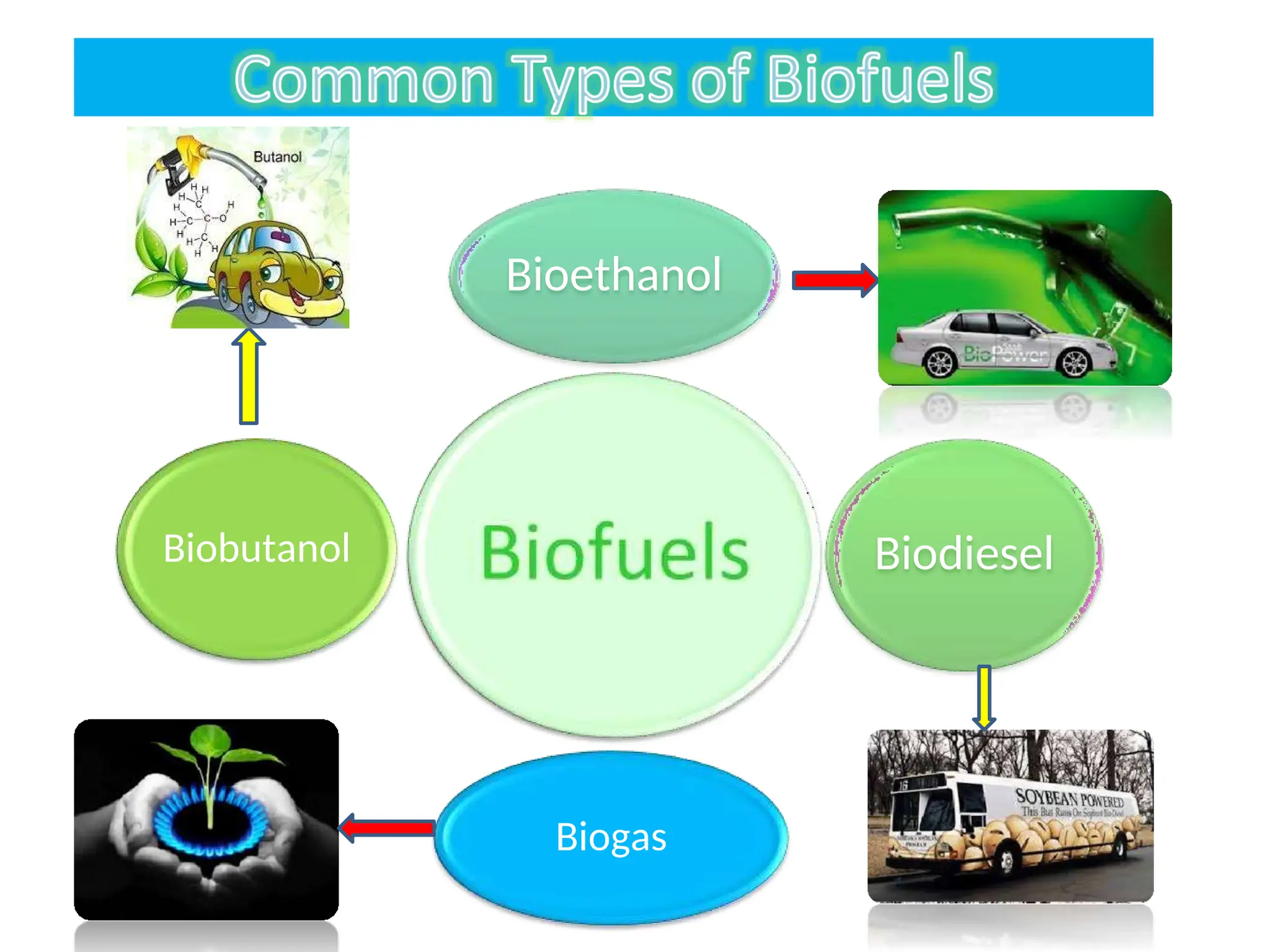 Bioethanol
Biodiesel
Biogas
Biobutanol
 