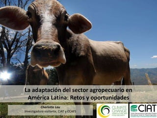 La adaptación del sector agropecuario en América Latina: Retos y oportunidades CharlotteLau Investigadora visitante, CIAT y CCAFS 