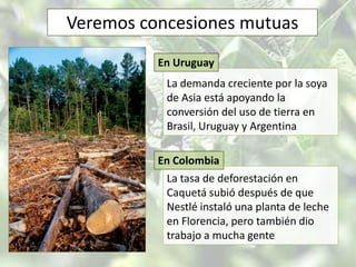 De 8,000 ha a 366.535 haVeremos concesiones mutuasEn ColombiaEn UruguayLa tasa de deforestación en Caquetá subió después de que Nestlé instaló una planta de leche en Florencia, pero también dio trabajo a mucha genteLa demanda creciente por la soya de Asia está apoyando la conversión del uso de tierra en Brasil, Uruguay y Argentina