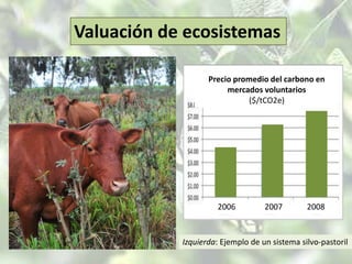 Ciclos erráticos de floración y maduración, resultando en cerezas más pequeñas de peor calidad 