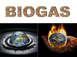 Biogas
