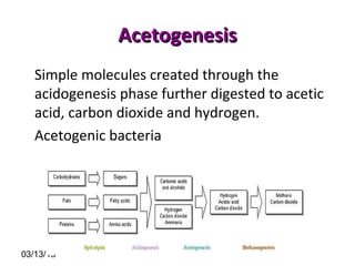 Biogas | PPT