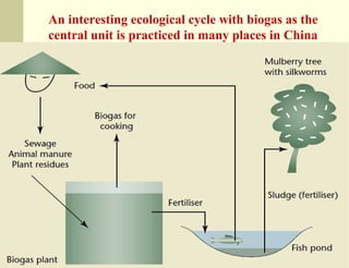 An interesting ecological cycle with biogas as the
central unit is practiced in many places in China

 