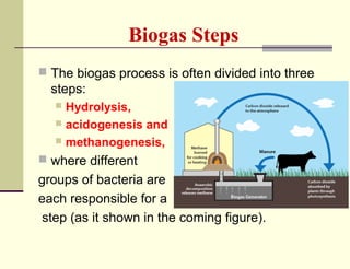 Biogas Steps
 The biogas process is often divided into three

steps:
Hydrolysis,
 acidogenesis and
 methanogenesis,


 where different

groups of bacteria are
each responsible for a
step (as it shown in the coming figure).

 