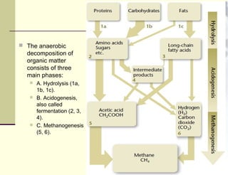  The anaerobic

decomposition of
organic matter
consists of three
main phases:






A. Hydrolysis (1a,
1b, 1c).
B. Acidogenesis,
also called
fermentation (2, 3,
4).
C. Methanogenesis
(5, 6).

 