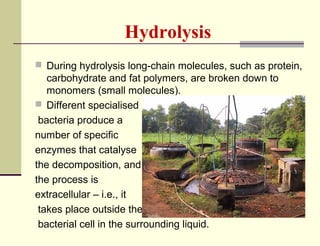 Hydrolysis
 During hydrolysis long-chain molecules, such as protein,

carbohydrate and fat polymers, are broken down to
monomers (small molecules).
 Different specialised
bacteria produce a
number of specific
enzymes that catalyse
the decomposition, and
the process is
extracellular – i.e., it
takes place outside the
bacterial cell in the surrounding liquid.

 