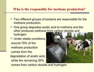 Who is the responsible for methane production?
 Two different groups of bacteria are responsible for the

methane production.
 One group degrades acetic acid to methane and the
other produces methane from carbon dioxide and
hydrogen.
 Under stable conditions,
around 70% of the
methane production
comes from the
degradation of acetic acid,
while the remaining 30%
comes from carbon dioxide and hydrogen.

 