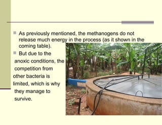  As previously mentioned, the methanogens do not

release much energy in the process (as it shown in the
coming table).
 But due to the
anoxic conditions, the
competition from
other bacteria is
limited, which is why
they manage to
survive.

 
