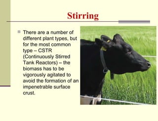 Stirring
 There are a number of

different plant types, but
for the most common
type – CSTR
(Continuously Stirred
Tank Reactors) – the
biomass has to be
vigorously agitated to
avoid the formation of an
impenetrable surface
crust.

 