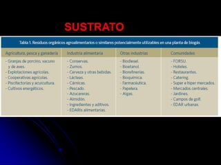 SUSTRATO
 