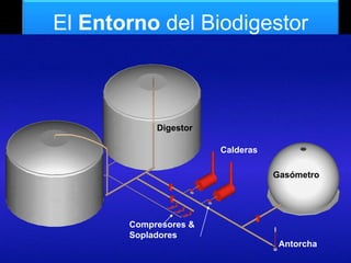 29
El Entorno del Biodigestor
Digestor
Calderas
Compresores &
Sopladores
Gasómetro
Antorcha
 