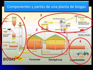 Componentes y partes de una planta de biogas
1
2
3
4
 