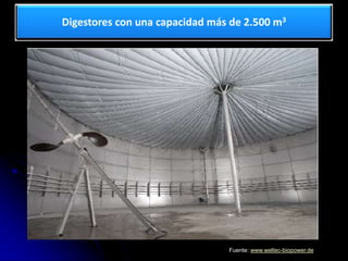 Digestores con una capacidad más de 2.500 m3
Fuente: www.weltec-biopower.de
 
