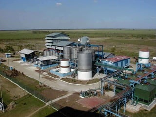 Biogas