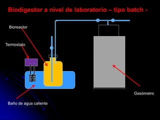 Biodigestor a nivel de laboratorio – tipo batch -
Termostato
Baño de agua caliente
Gasómetro
Bioreactor
 