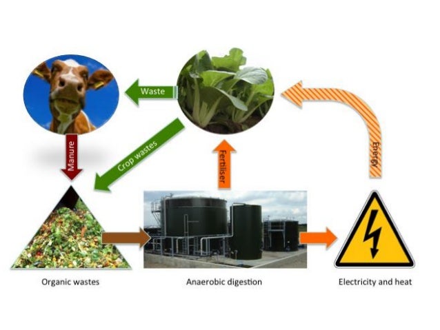 Biogas PPT