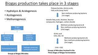Biogas production takes place in 3 stages
• Hydrolysis & Acidogenesis
• Acetogenesis
• Methanogenesis
Polysaccharides, Amino acids,
Fatly acids (long chain)
Non-methane-producing bacteria
(1st stage)
Volatile fatty acids, Alcohols, Neutral
compounds, Hydrogen, carbon dioxide
Methane-producing bacteria &
Non-methane-producing bacteria
(2nd stage)
Acetic acid
CH4, C02, H2
Methane-producing bacteria &
Non-methane-producing bacteria
(3rd stage)
CH4 + C02
Groups of Microbes Involved in the
Three Stages of Biogas Fermentation
Biogas
microbes
Non-methane
producing
bacteria
Methane
producing
bacteria
Hydrogen-producing
acetogenic bacteria
Fermentative bacteria
Groups of Biogas Microbes
 