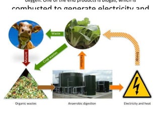 oxygen. One of the end products is biogas, which is
combusted to generate electricity and
heat, or can be processed into
renewable natural gas and
transportation fuels.
 