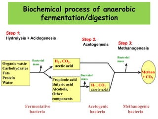 Acetogenesis Process Biogas - Presentation | PPSX