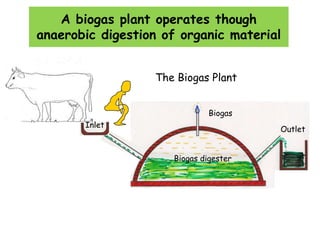 Biogas - Presentation | PPSX