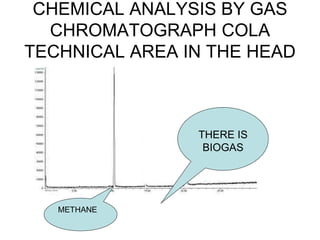 CHEMICAL ANALYSIS BY GAS
CHROMATOGRAPH COLA
TECHNICAL AREA IN THE HEAD
METHANE
THERE IS
BIOGAS
 