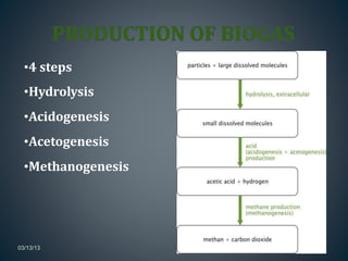 Biogas | PPTX