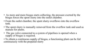 • As more and more biogas starts collecting, the pressure exerted by the
biogas forces the spent slurry into the outlet chamber.
• From the outlet chamber, the spent slurry overflows into the overflow
tank.
• The spent slurry is manually removed from the overflow tank and used as
manure for plants.
• The gas valve connected to a system of pipelines is opened when a
supply of biogas is required.
• To obtain a continuous supply of biogas, a functioning plant can be fed
continuously with the prepared slurry
 