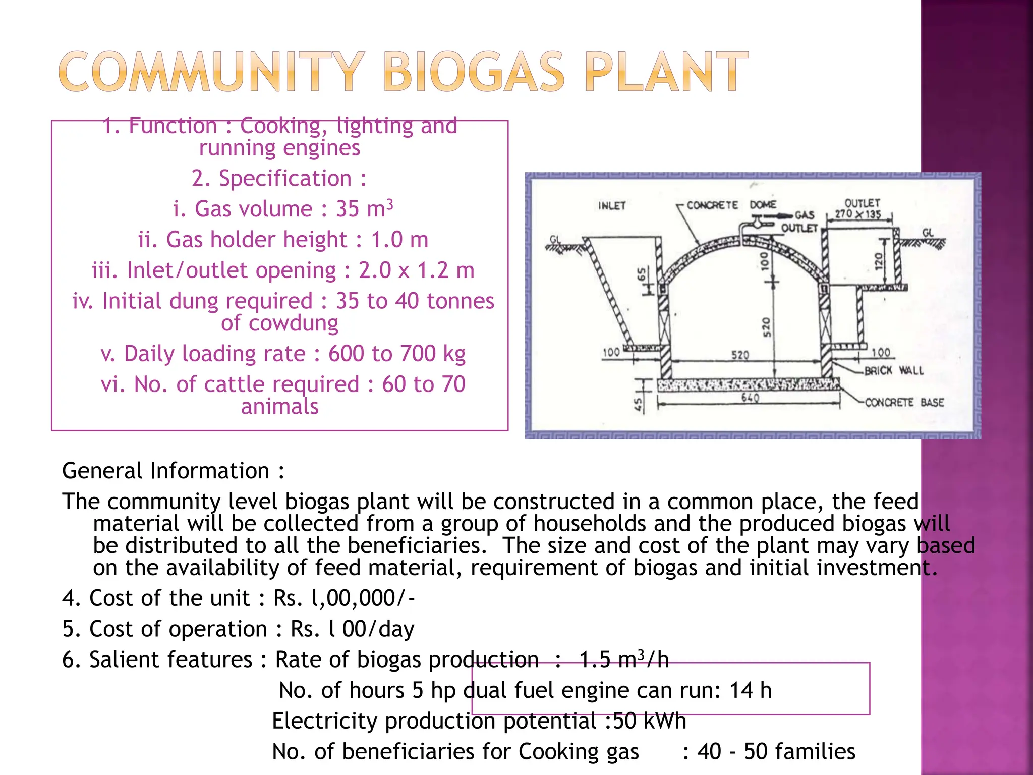 Biogas for undergrduate students in detail.ppt